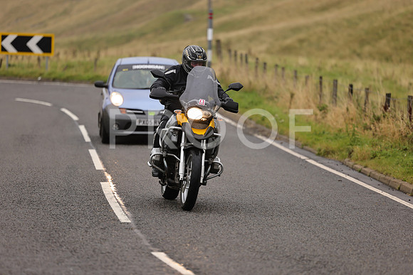 Steve - 3N3A9999 (1241)