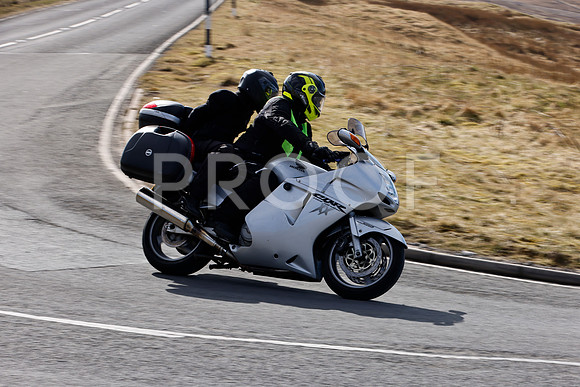_N3A1491