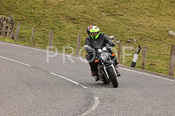 Steve - 3N3A9999 (4790)
