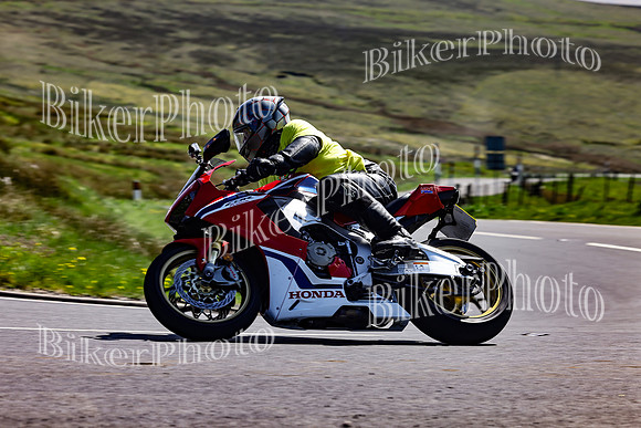 Daves (74)