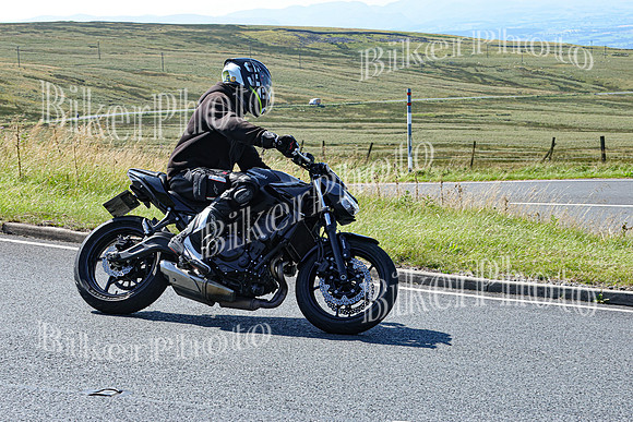 0W9A2231 (2)