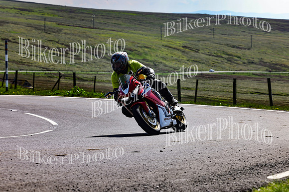 Daves (81)