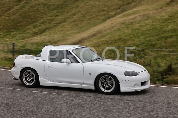 Steve - 3N3A9999 (2117)
