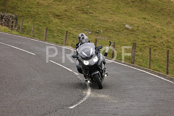 Steve - 3N3A9999 (1152)