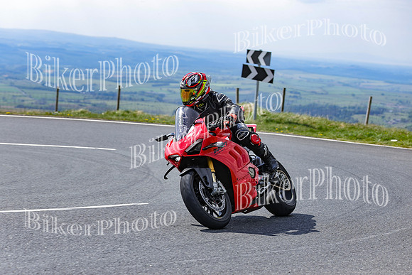 0W9A8225 (2)