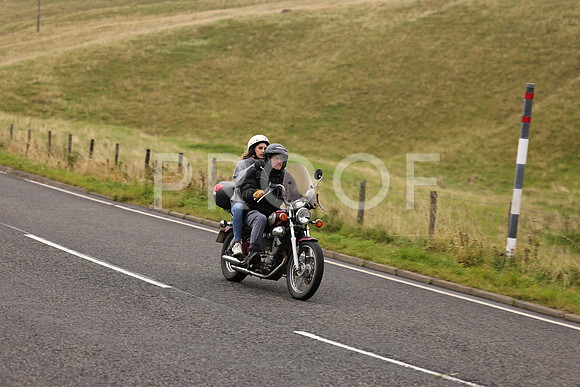 Steve - 3N3A9999 (1205)