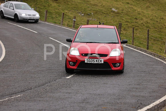 Steve - 3N3A9999 (1595)
