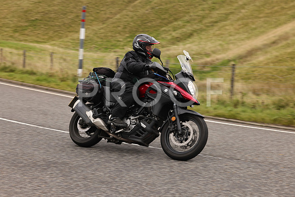 Steve - 3N3A9999 (2932)