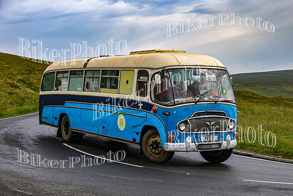 0W9A3597 (2)