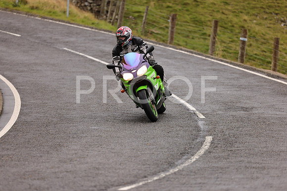 Steve - 3N3A9999 (1058)