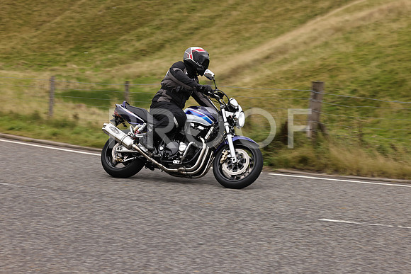 Steve - 3N3A9999 (4861)