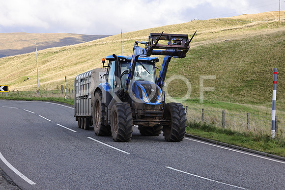 Steve - 3N3A6320 (241)