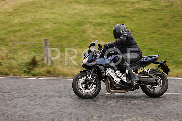 Steve - 3N3A9999 (1040)