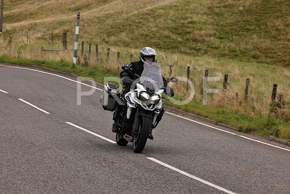 Steve - 3N3A9999 (3059)