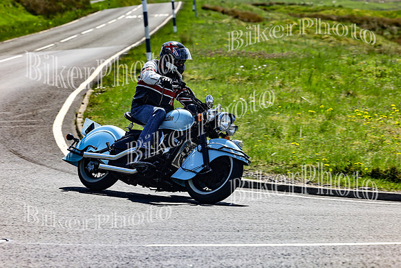 Daves (108)