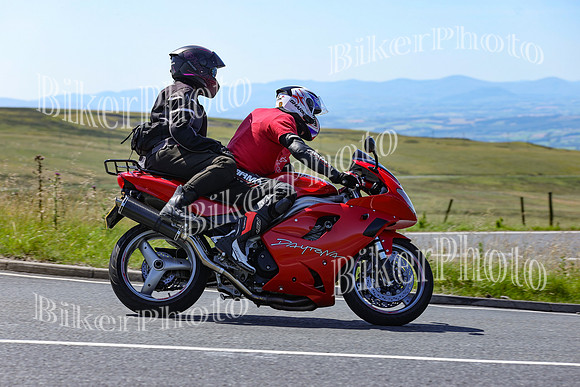 0W9A5950 (2)