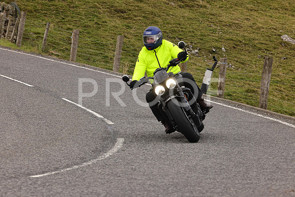 Steve - 3N3A9999 (4960)