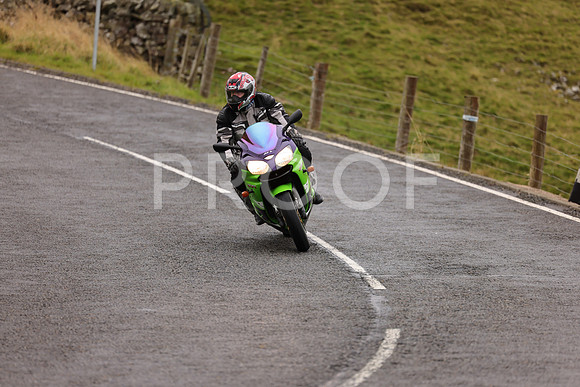 Steve - 3N3A9999 (1051)