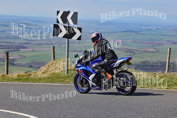 250A0462 (2)