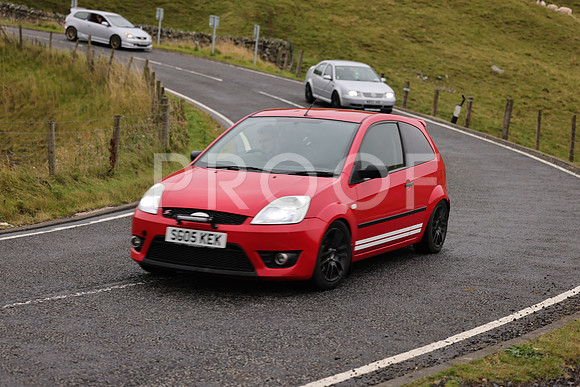 Steve - 3N3A9999 (1596)