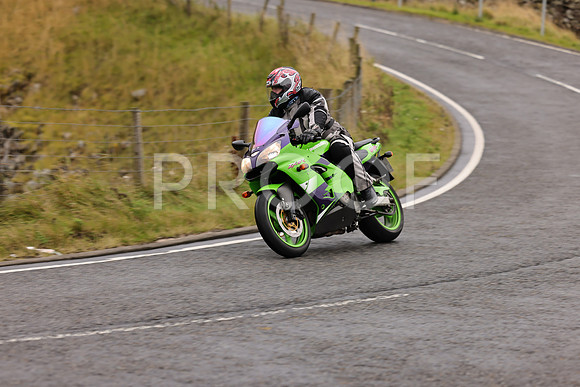 Steve - 3N3A9999 (1059)