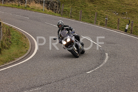 Steve - 3N3A9999 (2981)
