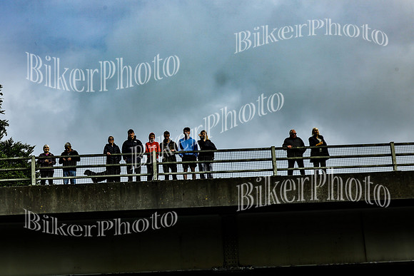 Bridges Cecilia (13)