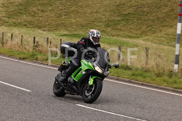 Steve - 3N3A9999 (3085)