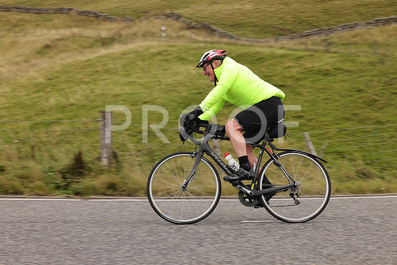 Steve - 3N3A9999 (2190)