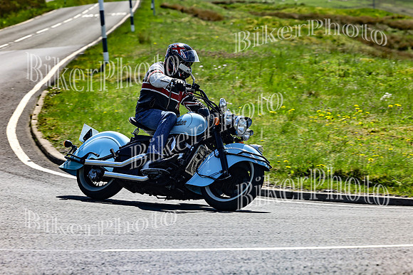 Daves (109)