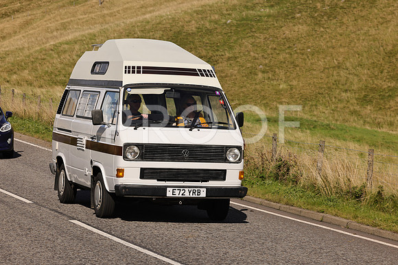 Steve - 3N3A6320 (1705)