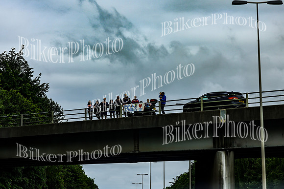 Bridges Cecilia (11)