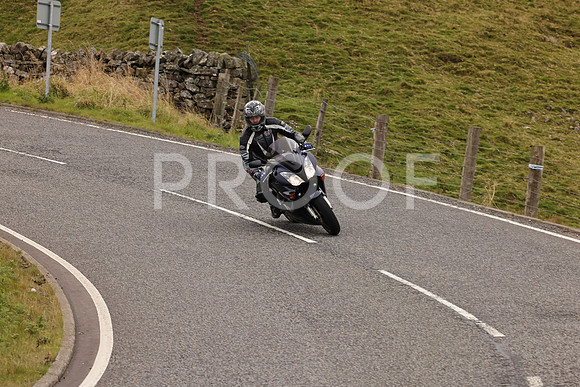 Steve - 3N3A9999 (2960)