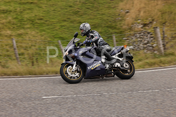 Steve - 3N3A9999 (2985)