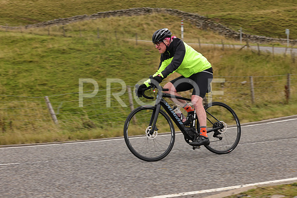 Steve - 3N3A9999 (2204)