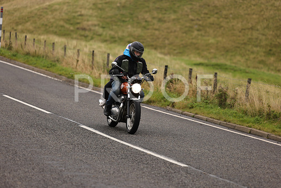 Steve - 3N3A9999 (1176)