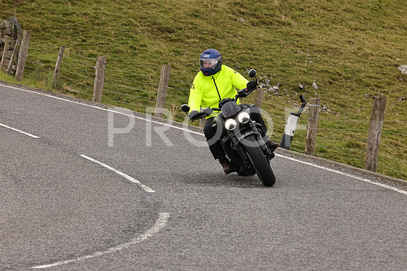 Steve - 3N3A9999 (4951)