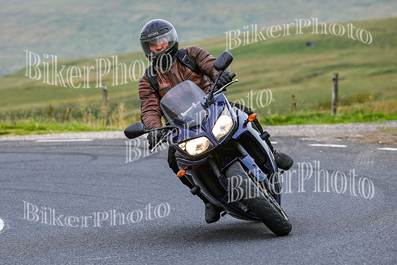 0W9A3694