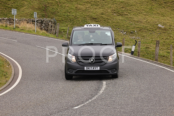 Steve - 3N3A9999 (2372)
