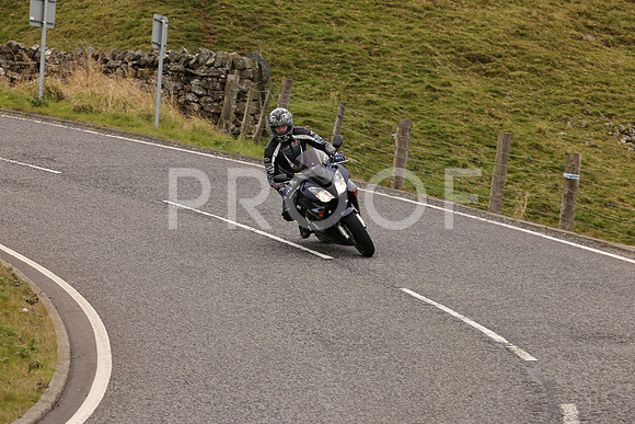 Steve - 3N3A9999 (2961)