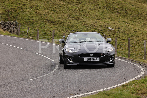 Steve - 3N3A9999 (3341)