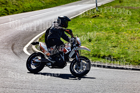 Daves (599)