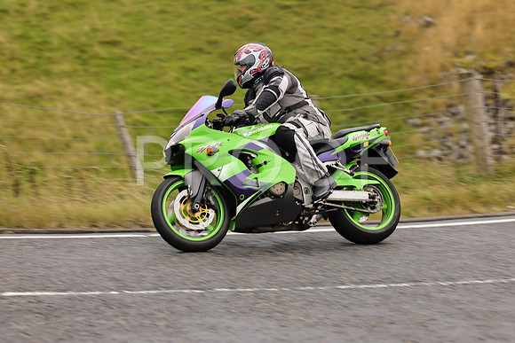 Steve - 3N3A9999 (1067)