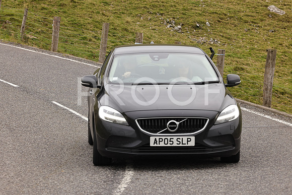 Steve - 3N3A9999 (2303)