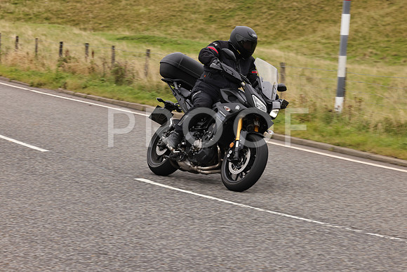 Steve - 3N3A9999 (3141)