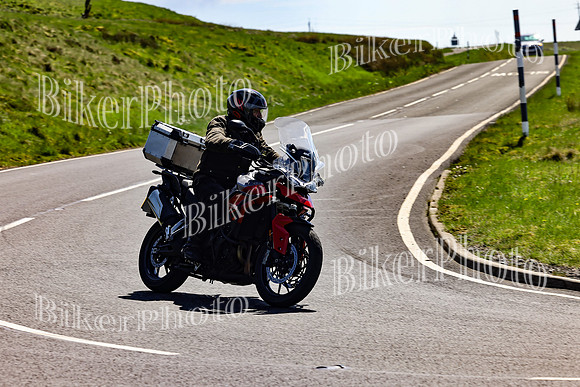 Daves (88)