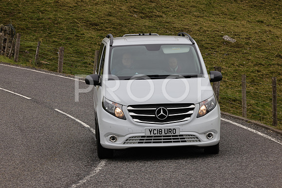 Steve - 3N3A9999 (2215)
