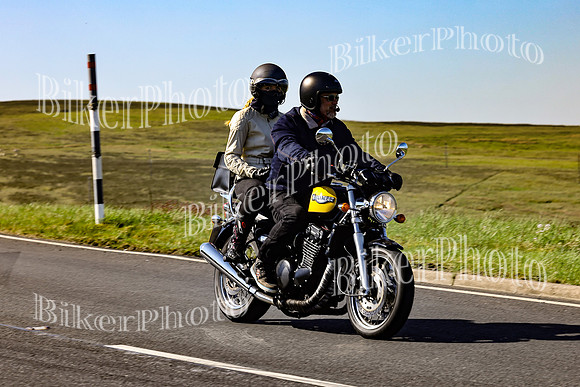 Daves (51)
