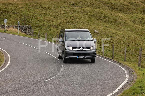 Steve - 3N3A9999 (2534)