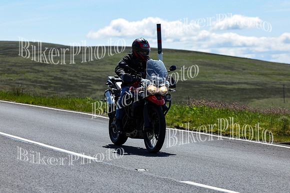 IMG_4791